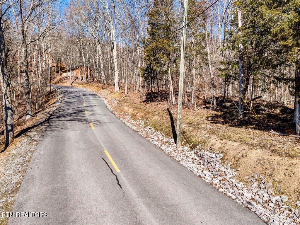 Image 1: 273 Chelaque Way - 1