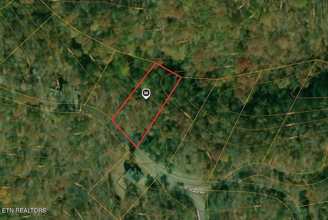 Image 4: 273 Chelaque Way - 3b