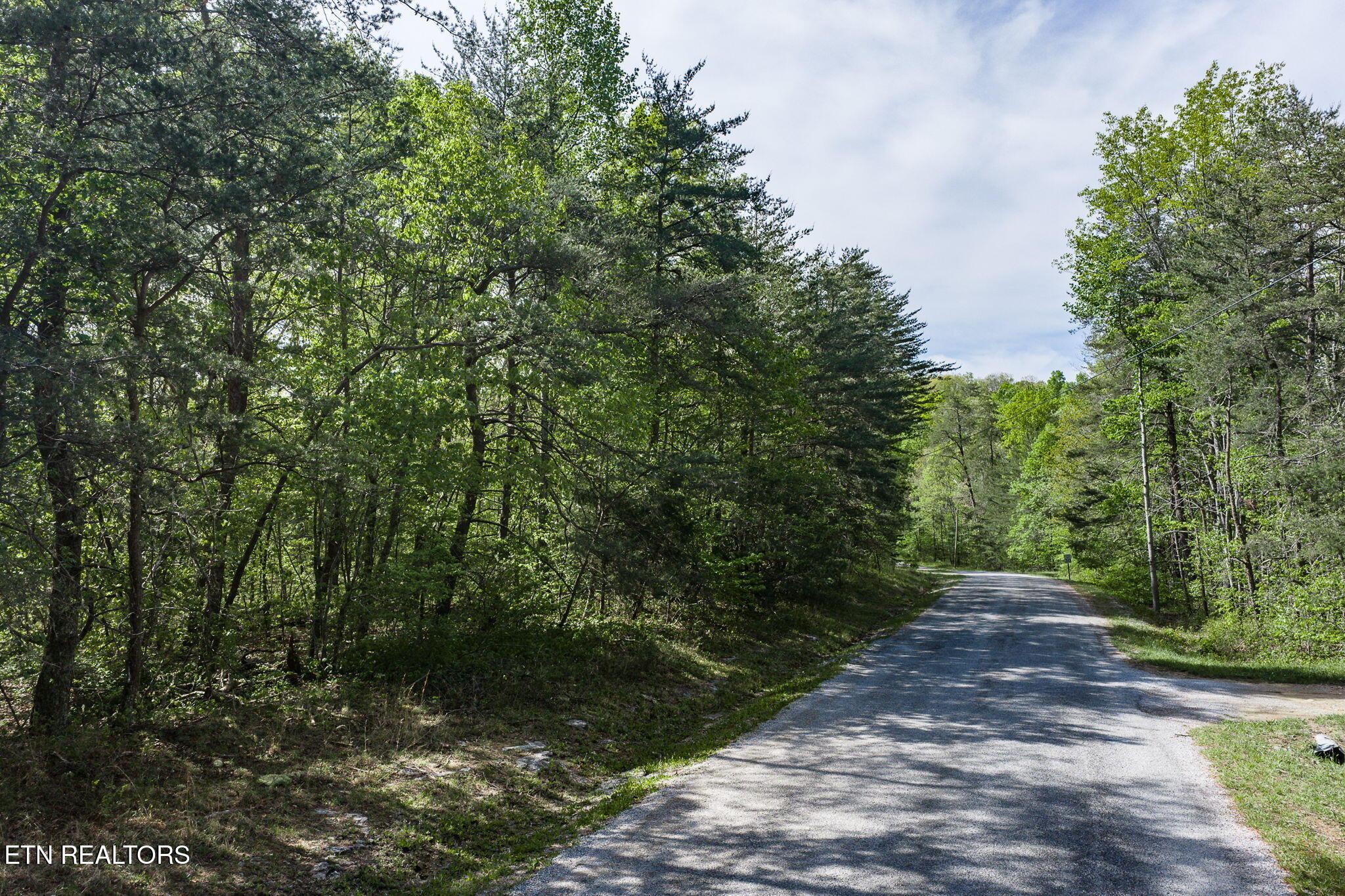 Image 2: 2-web-or-mls-111 Bainbridge Rd FFG_006_T