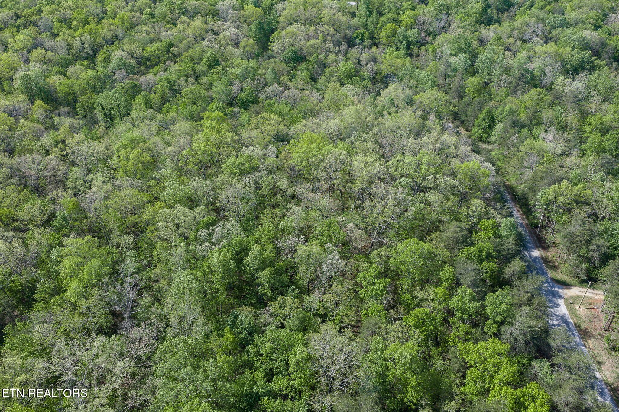 Image 4: 4-web-or-mls-111 Bainbridge Rd FFG_018_T