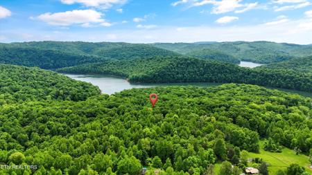 Lot 63 Beech Grove Loop