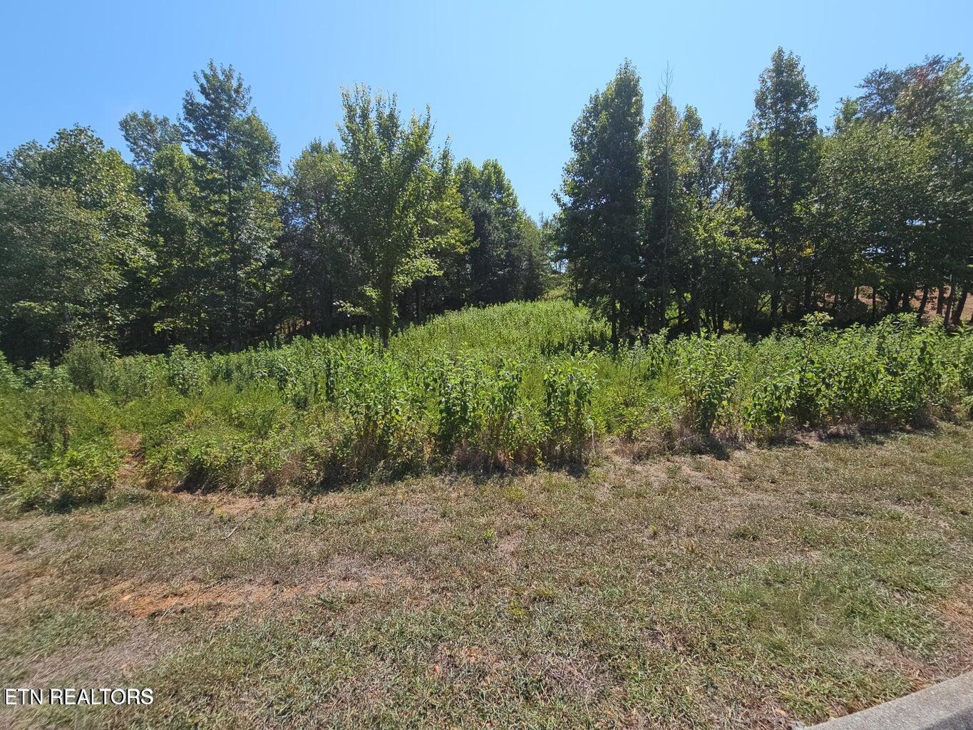 Image 2: lot 41 Meadow Lane Street 2