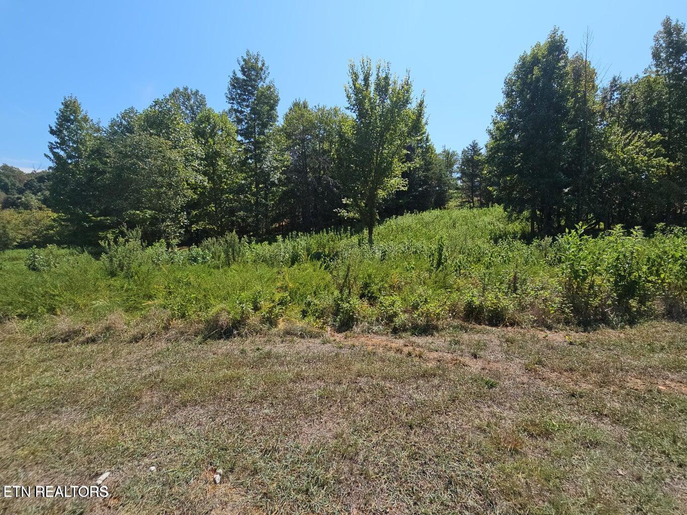 Image 3: lot 41 Meadow Lane Street1