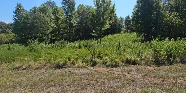 Image 3: lot 41 Meadow Lane Street1