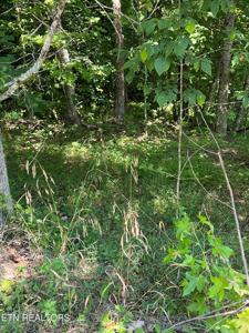 Laurel Wood Rd