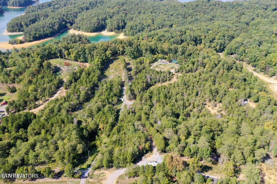 Image 3: Drone pic
