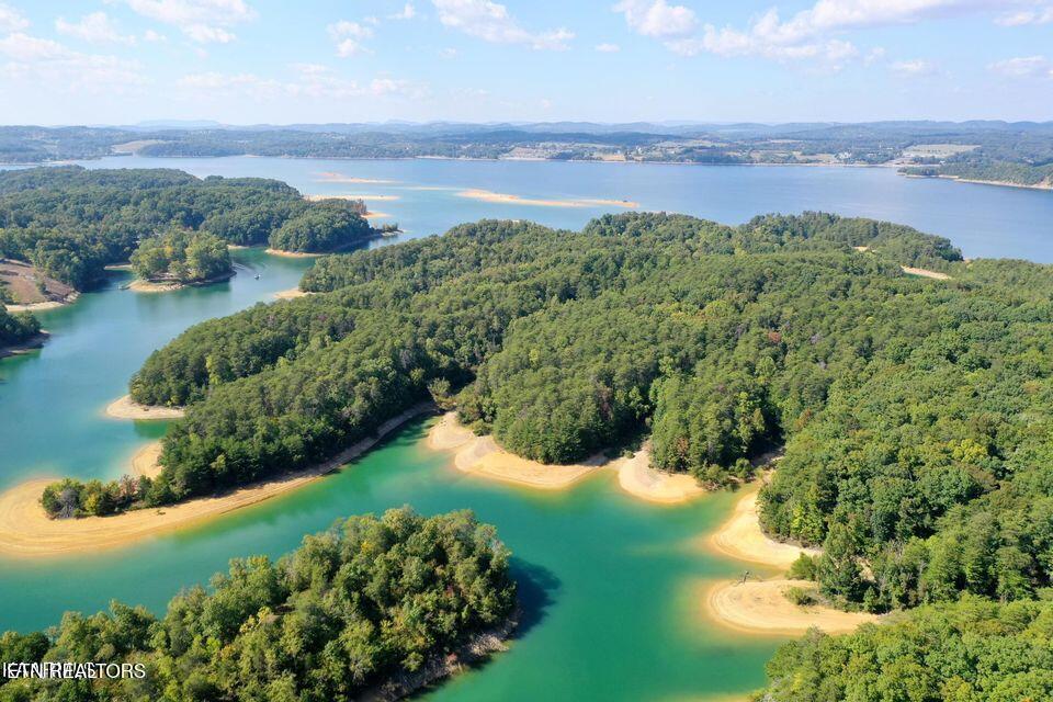 Image 4: Drone pic