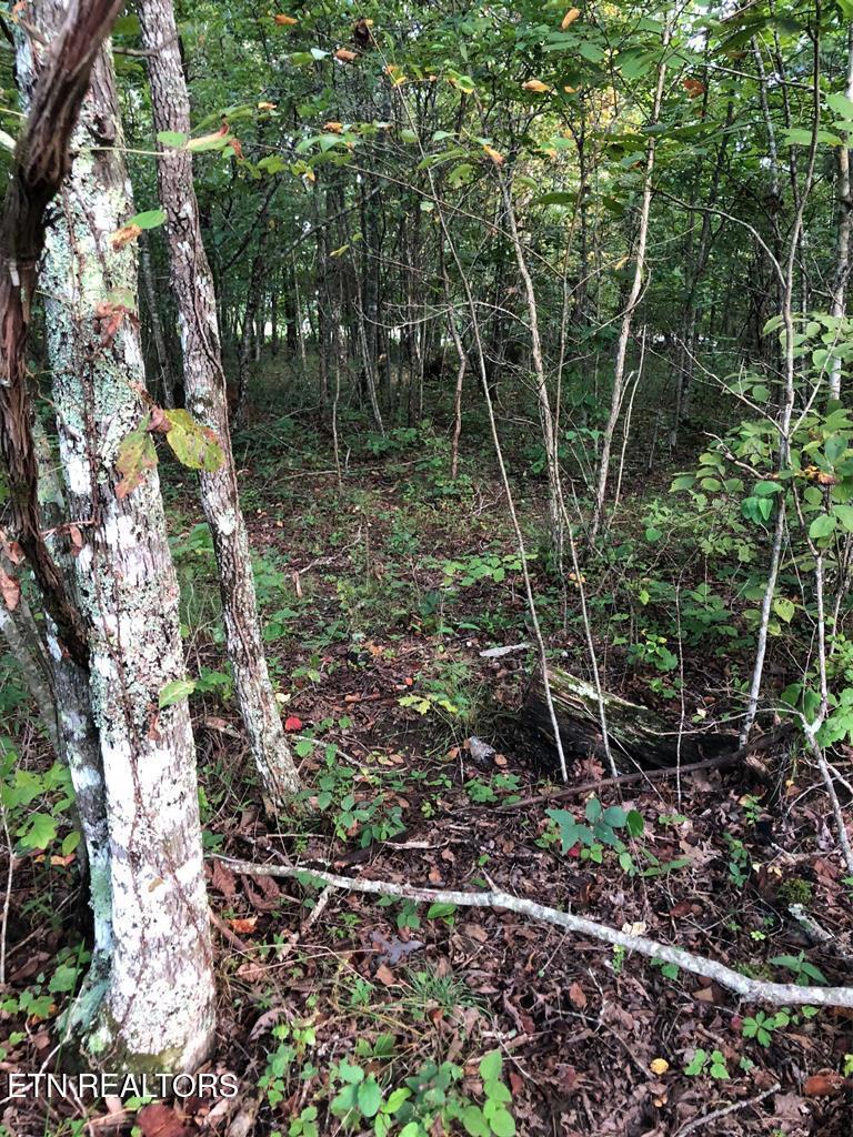 Image 3: 202390_5