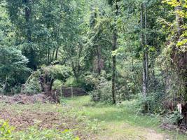 UPPER CANEY VALLEY Rd