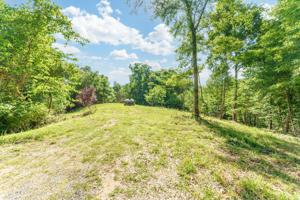 Lot 1-B Virginia Court