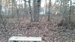 125 Cambridge Lane