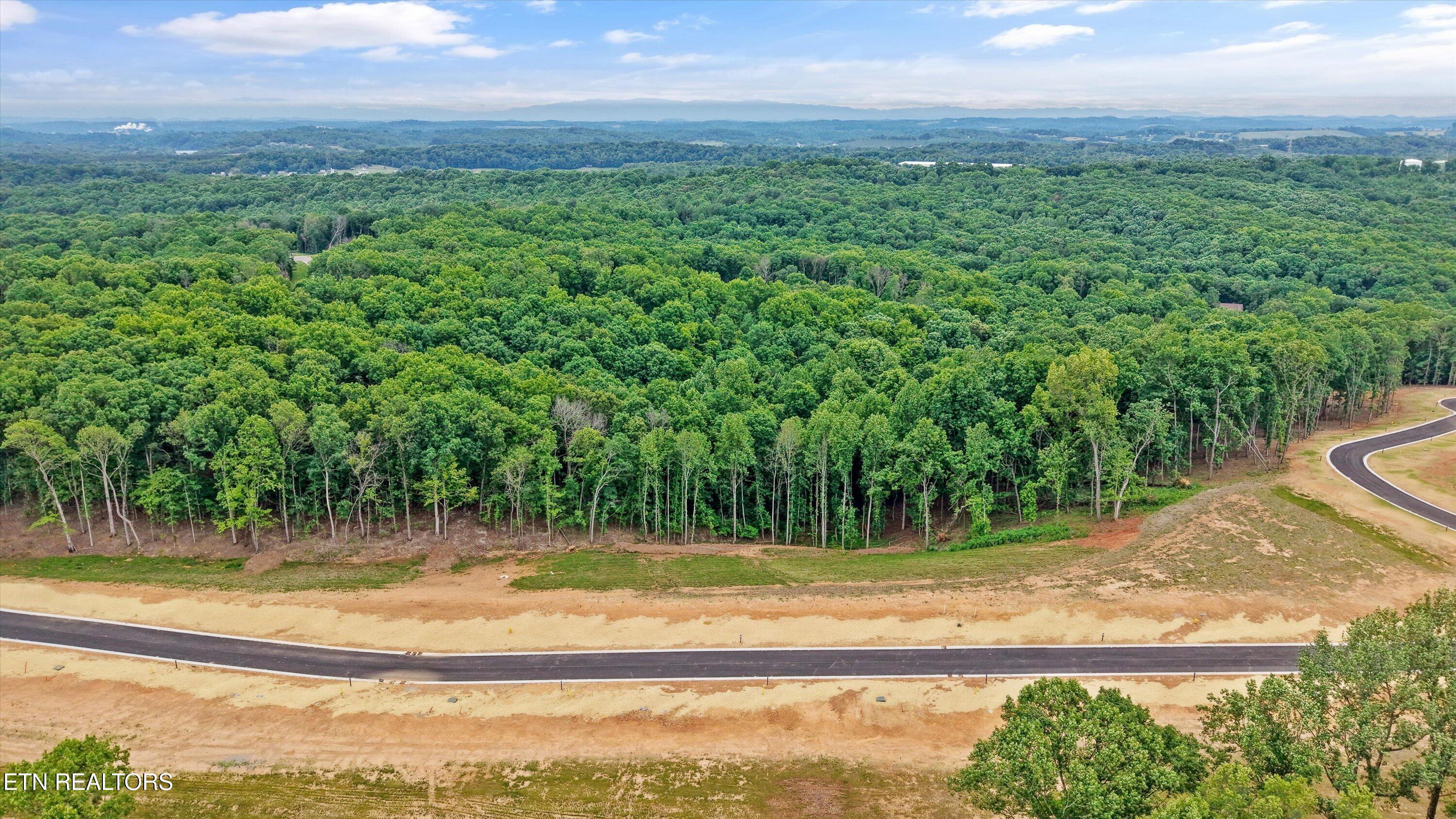 Image 4: 03-145 Canopy Trl Ln Lot 39-01