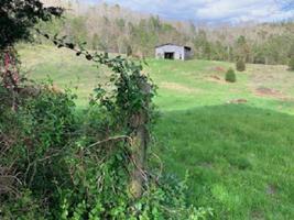 Murphy Rd