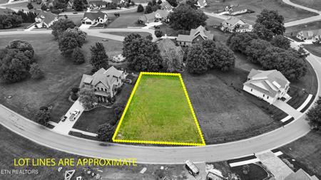 2532 Persimmon