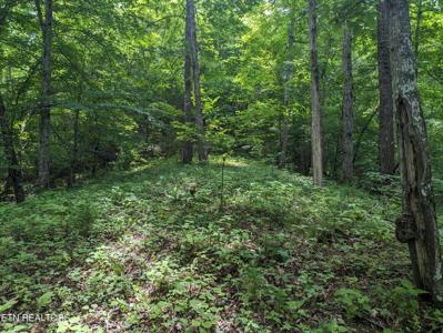 Laurel Wood Rd