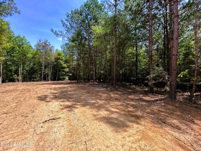 Lot 2 Highway 304