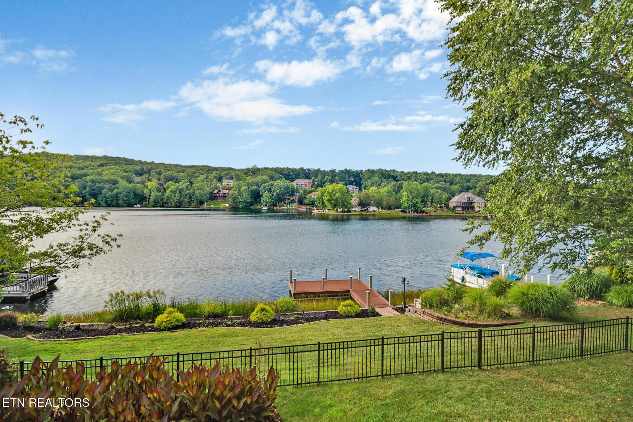 Image 3: Back yard view