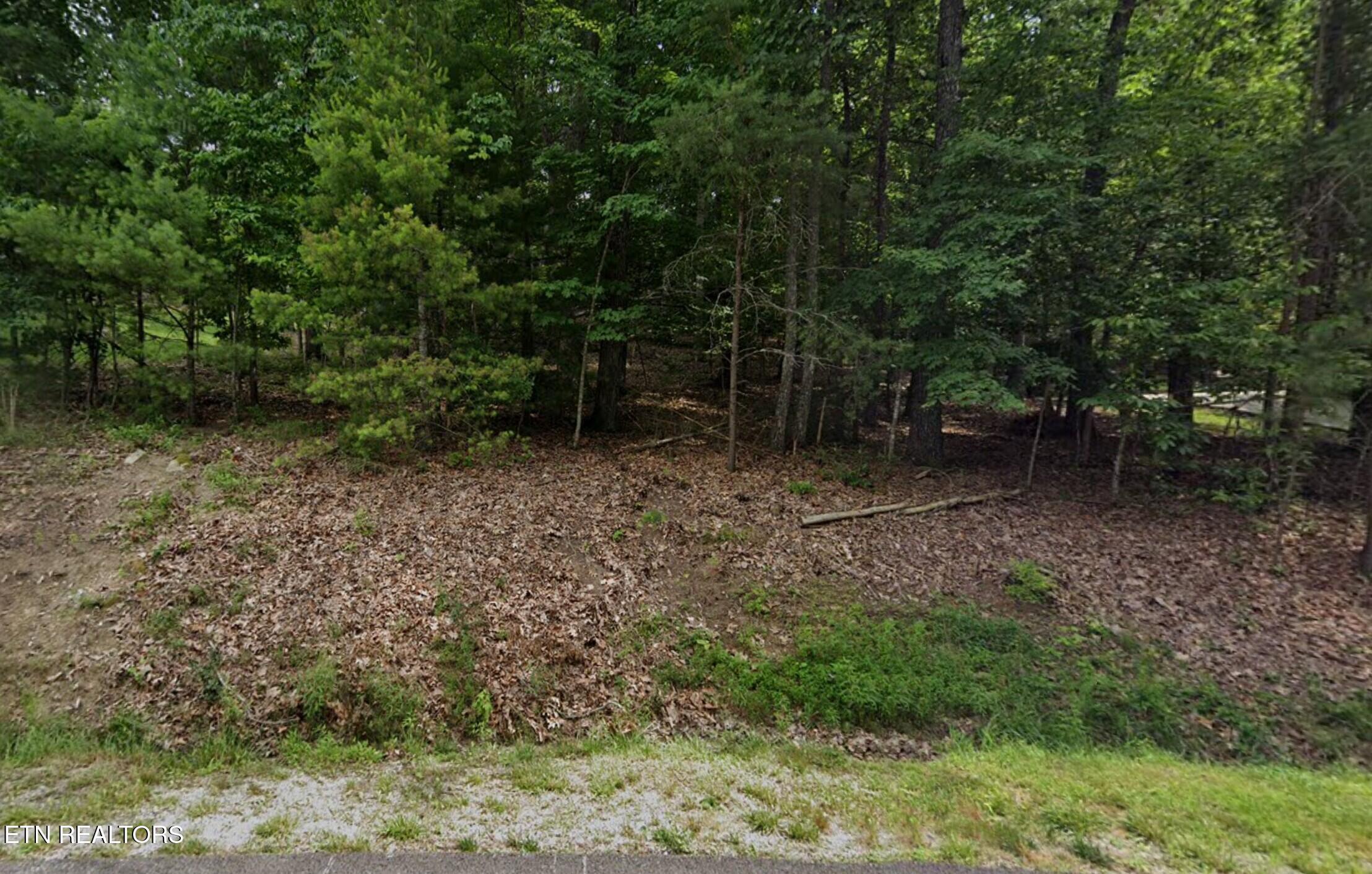 Image 3: .40 acre lot