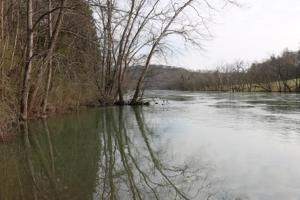 Peach Orchard