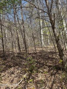 lot 3 Jones Ridge Rd