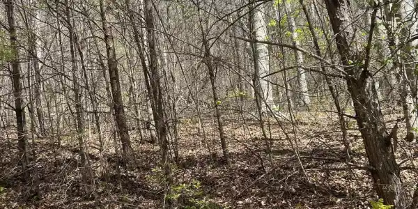 lot 3 Jones Ridge Rd