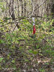 lot 27 Jones Ridge Rd