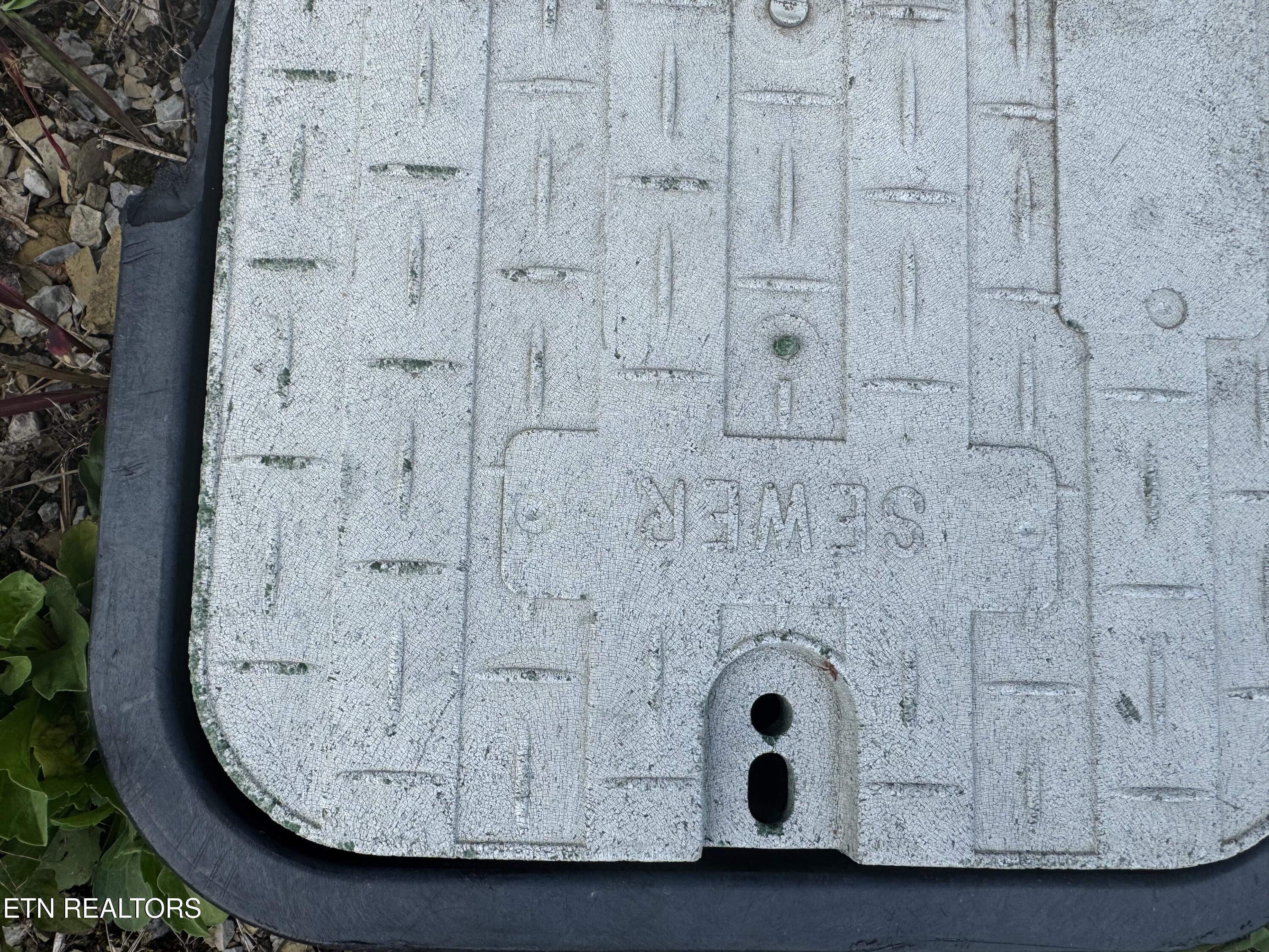 Image 3: IMG_9789