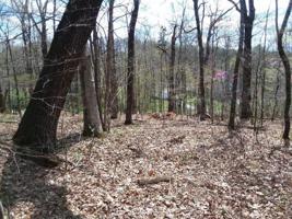L107 Cherokee Drive