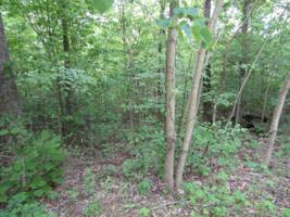 Lot 3 White Oak Ridge Rd