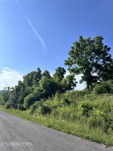 Lot 335A Larayne Hollow Rd