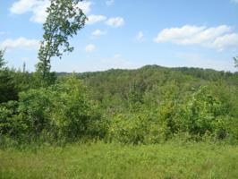 11.58 Ac Of 2853 Hwy 360