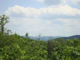 12.11 Ac Of 2853 Hwy 360