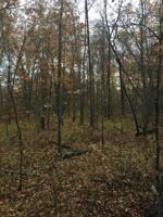 Wycliff Lane Off Lane 114