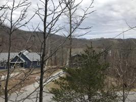 Lot 818 Wildcat Hollow Rd
