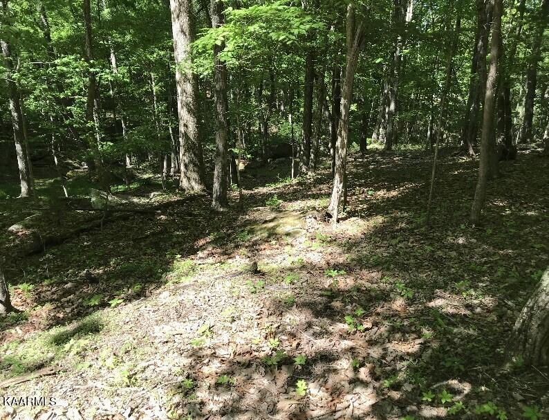 Image 1: 148 Springdale.1