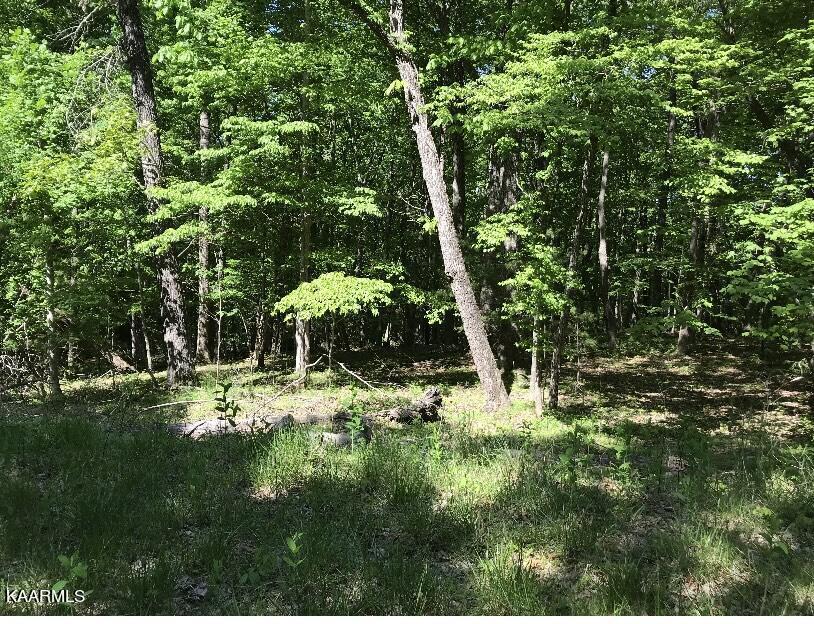 Image 2: 148 Springdale