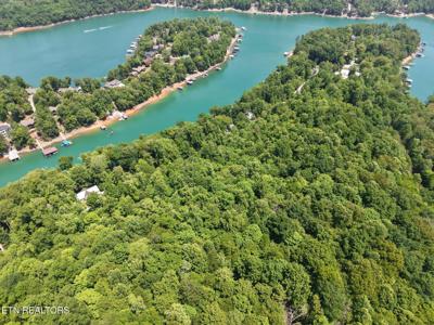 Yoakum Hollow Rd
