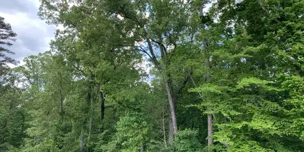 Lot 246 Arcadia Peninsula Way