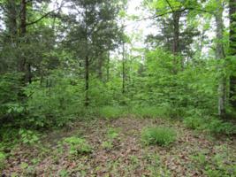 Lot 5 White Oak Ridge Rd