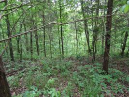 Lot 6 White Oak Ridge Rd