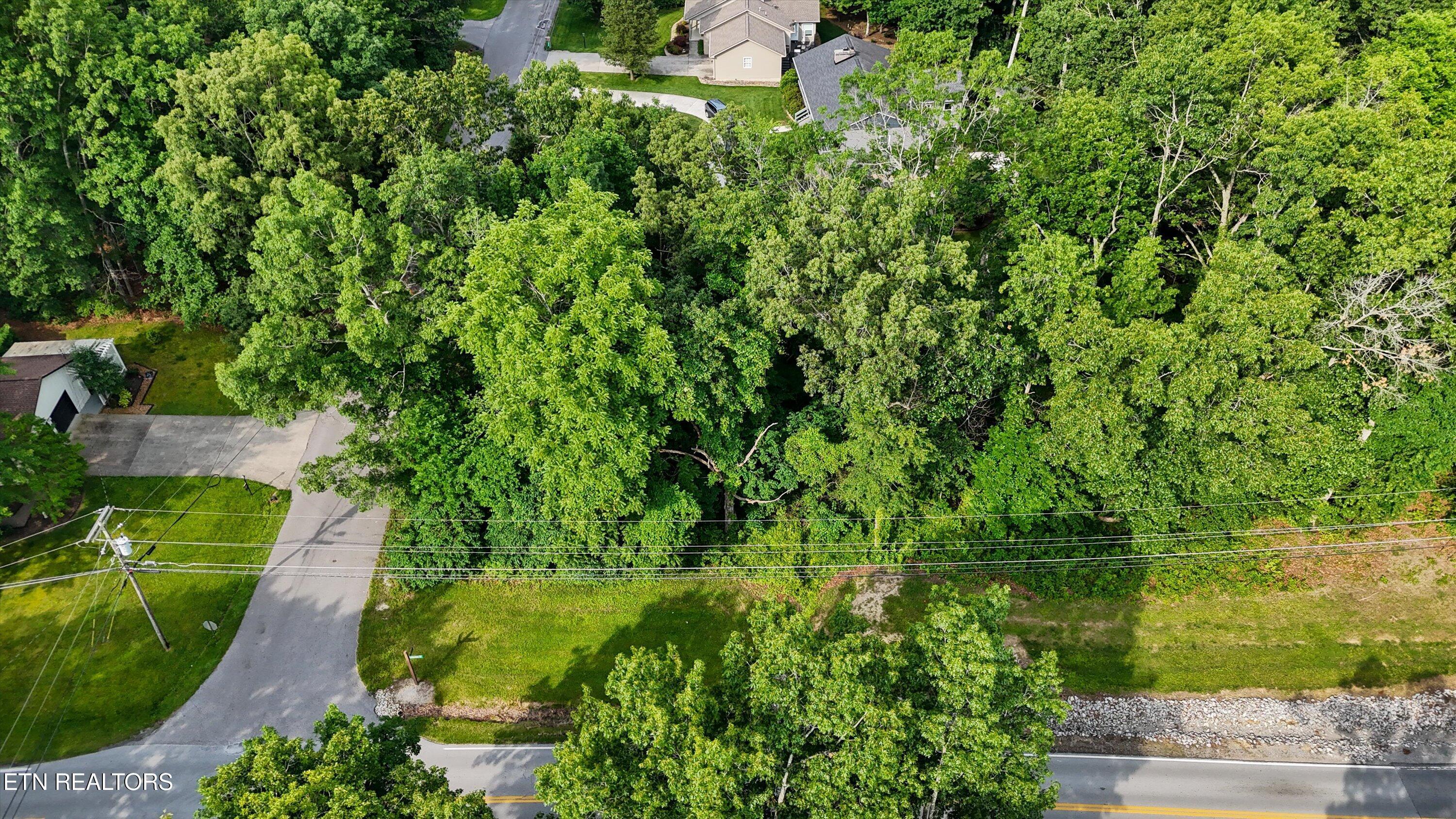 Image 4: 03-120 Lakeview Dr02