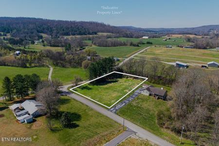 668 Webbs Camp Rd