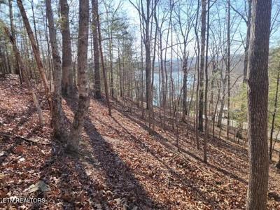Deer Pond Circle