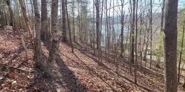 Deer Pond Circle