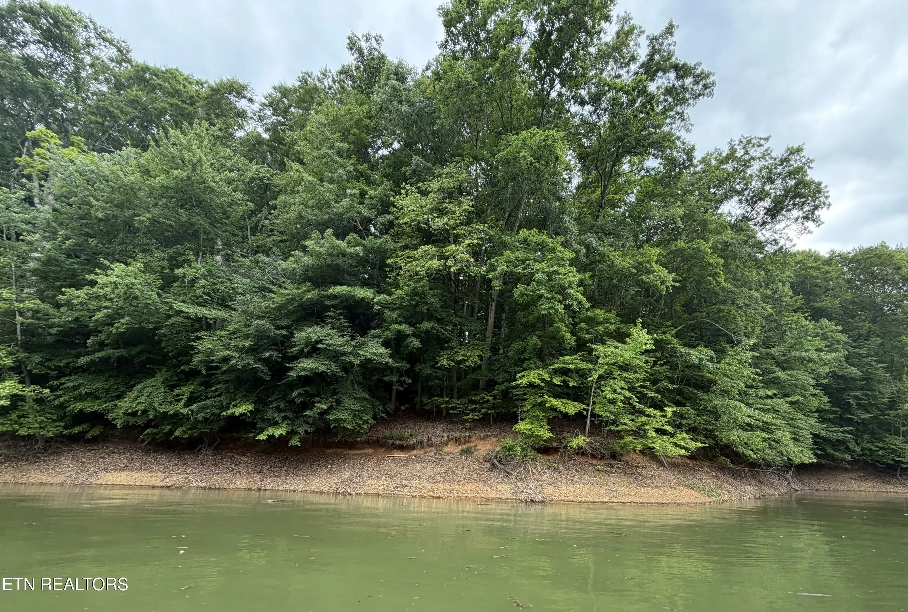 Image 1: Property view from Lake