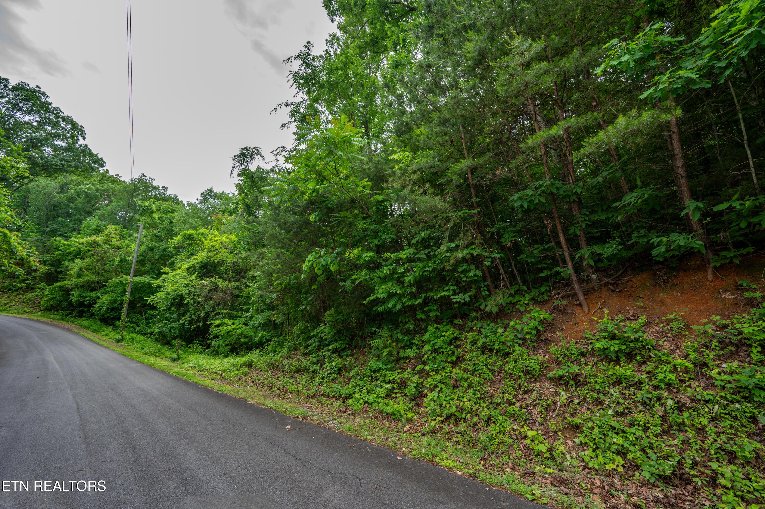 Image 3: fisher lot street