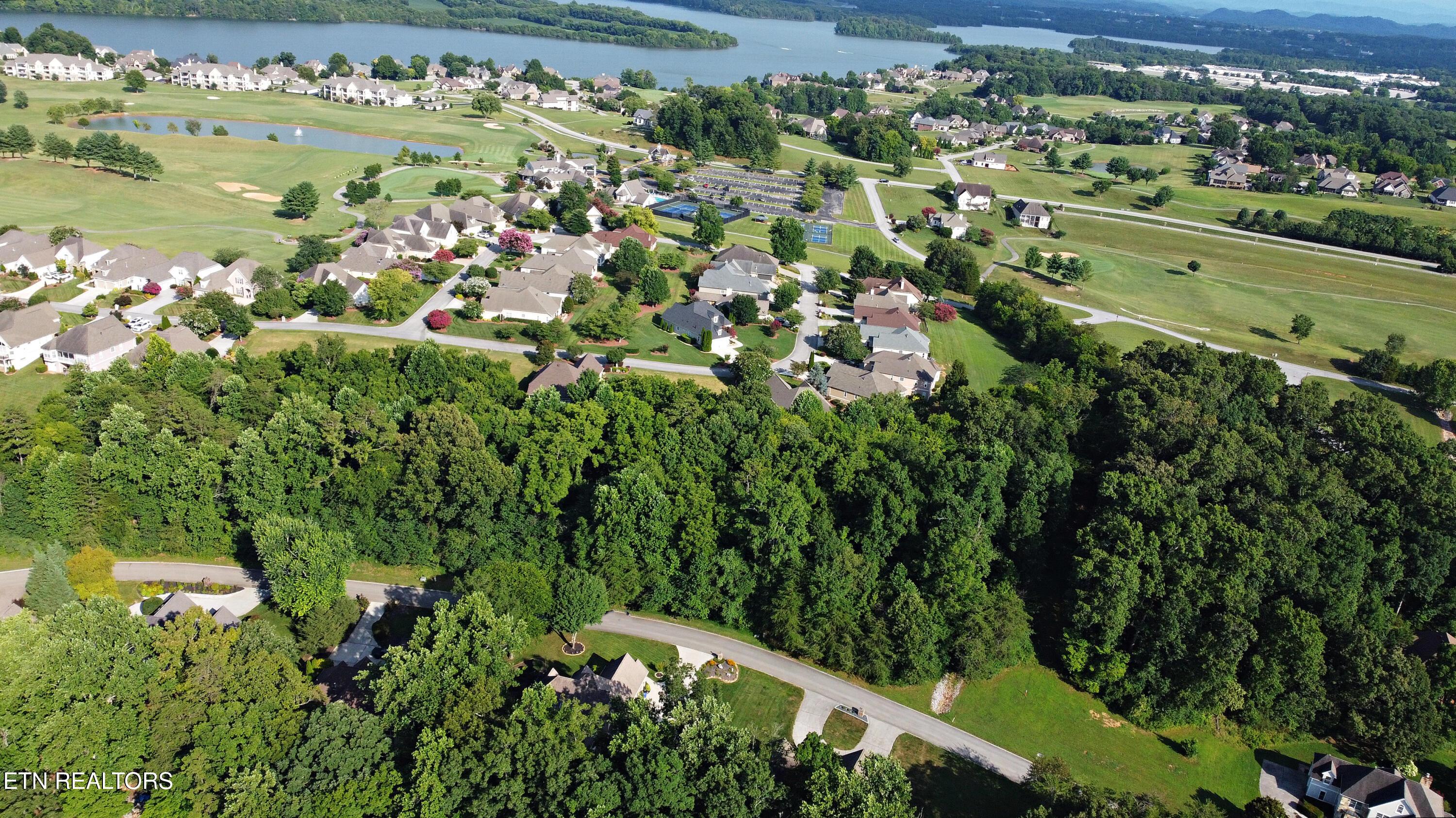 Image 3: DJI_0293