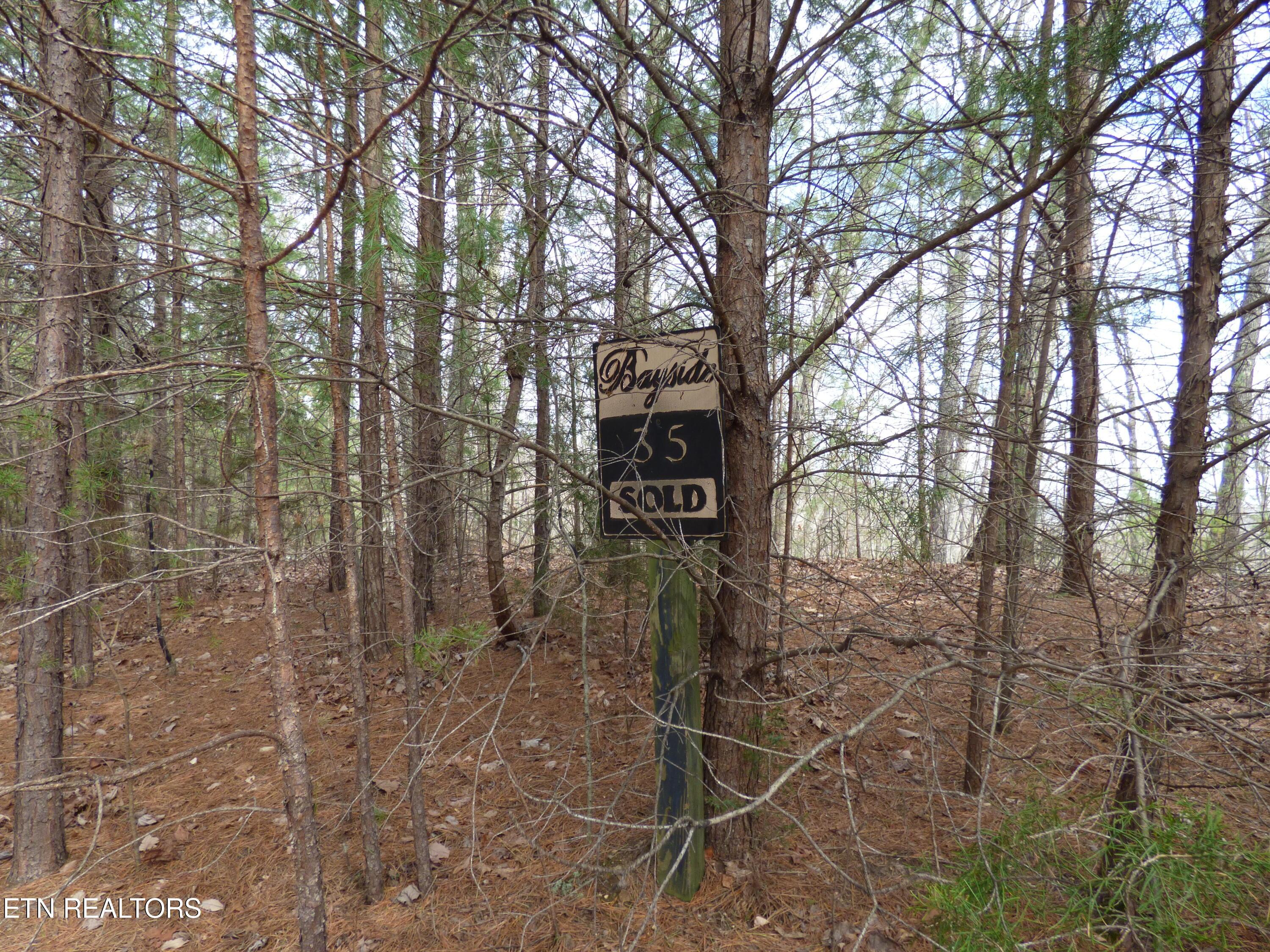 Image 1: P1020818