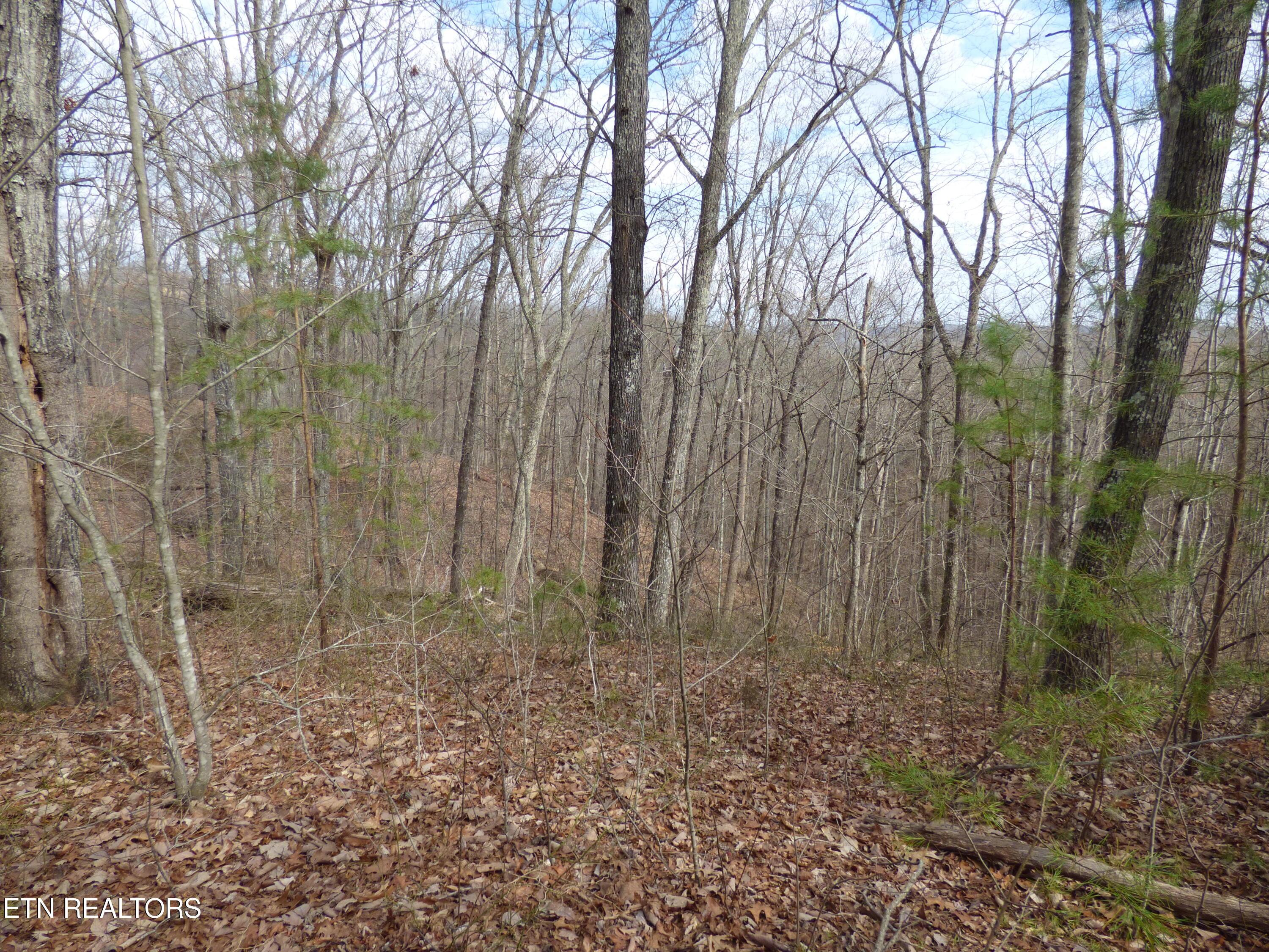 Image 4: P1020820