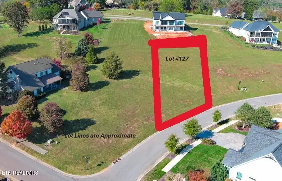 Image 1: Lot 127